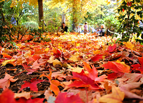 30 Ways to Stay Well This Fall