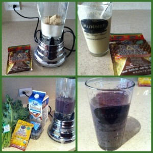 I made a RAW Meal "frappachino" & a blueberry smoothie with Guayaki Raw Protein