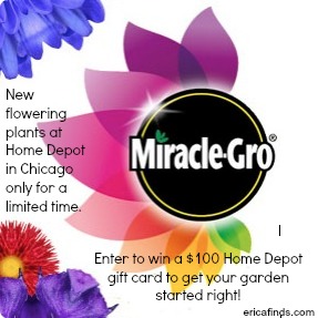 Time for More Flowers from Miracle-Gro + Home Depot! (#Giveaway)