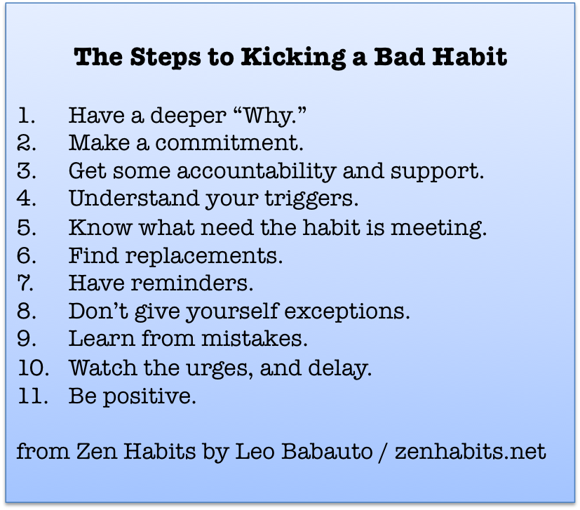 Stop A Bad Habit In Its Tracks! • Erica Finds...