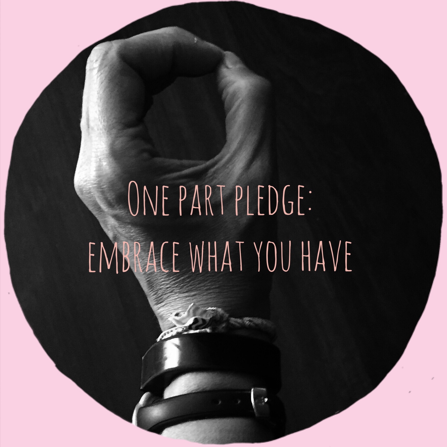 Embrace What You Have…#onepartpledge