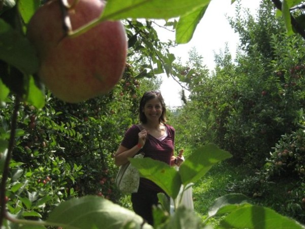 Apple picking in Indiana a few years ago.