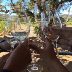 5 Reasons to Take Trips with Friends (+ Healdsburg Tips!)
