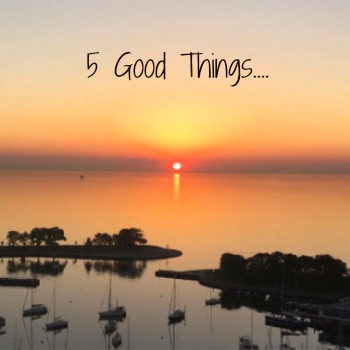 Friday Five: 5 Good Things
