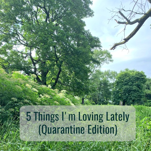 Friday Five: 5 Things I’m Loving Lately (Quarantine Edition)